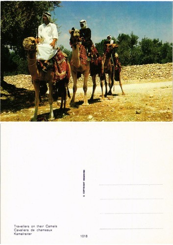 Cpm israel camel - cpm, ak