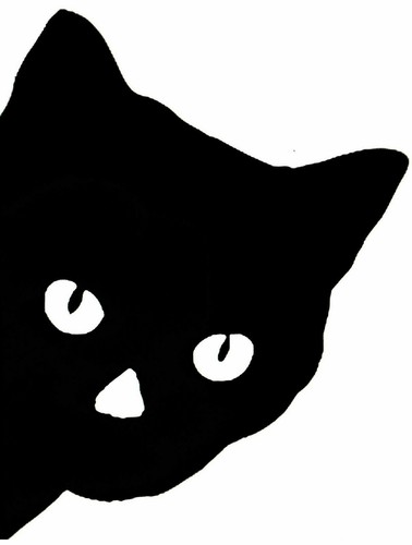 Large peeping kitten cat - to,