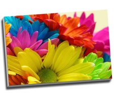 Colourful Daisies Field Flower Canvas Print Wall Art 30x20" A1