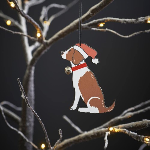Sweet william christmas - sweet,