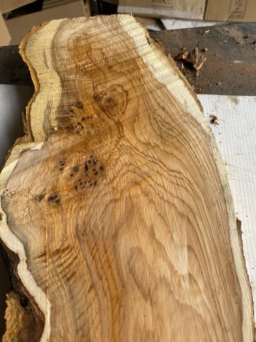 Yew plank - yew, plank,yew