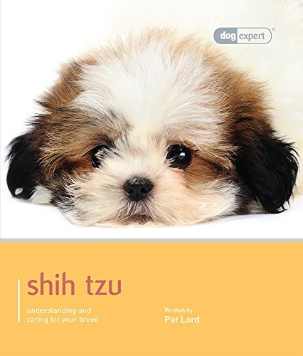 Shih tzu dog - shih, lord