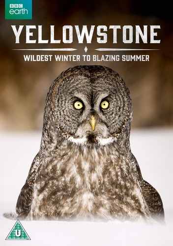 Yellowstone wildest winter - yellowstone,