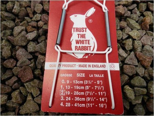 White rabbit stretch - , spring