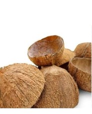 Raw Coconut Shells | New  |