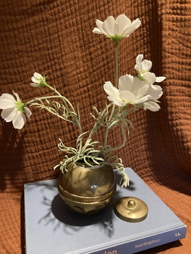 Brass lipton tea caddy - lipton, pot