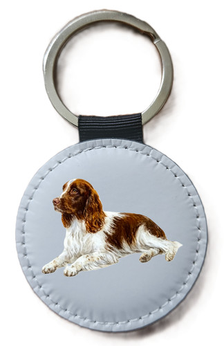 English springer spaniel - english,