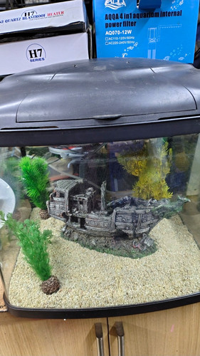 Fish fun 40l bowfront - fish, glass