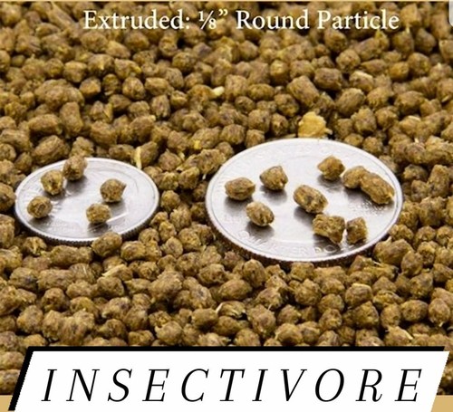 Insectivore food hedgehog - insectivore,