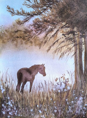 Wild horse morning - wild,
