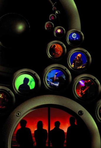 Porcupine tree arriving - porcupine,