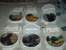 set of 6 franklin mint dog