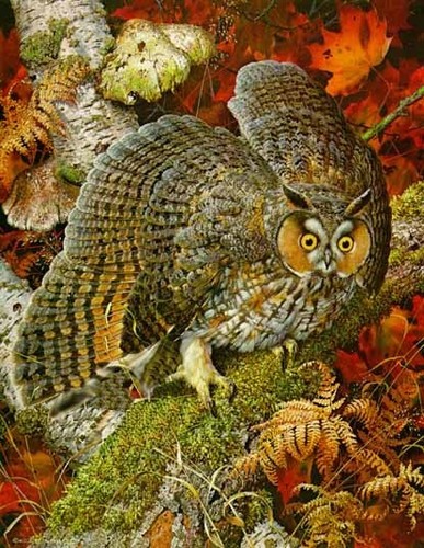 Carl brenders disturbed - carl,