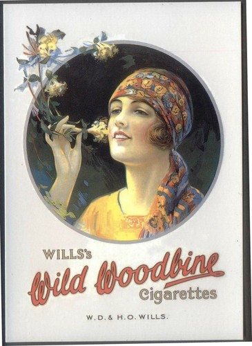 Modern postcard will wild - postcard:,