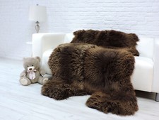 BEAR SKIN RUG BROWN BEAR GIANT