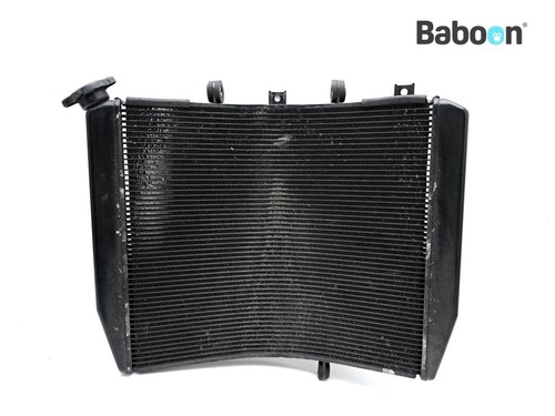 Radiator kawasaki zzr 1400 - radiator,
