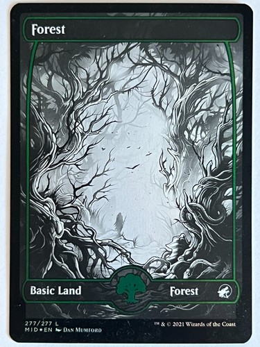 Forest basic land foil - basic,