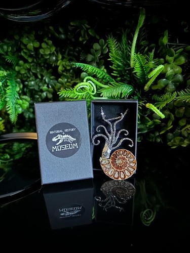 Ammonite art necklace - necklace,