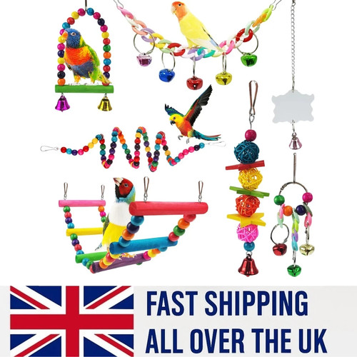 Pack parrot toys - 7,