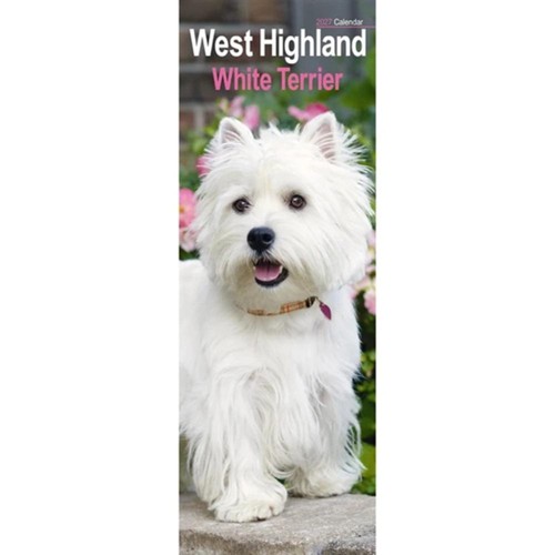 West highland white terrier - west,