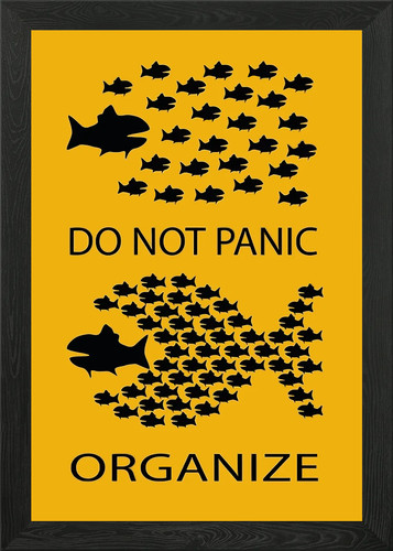 Organize don panic framed - organize,,