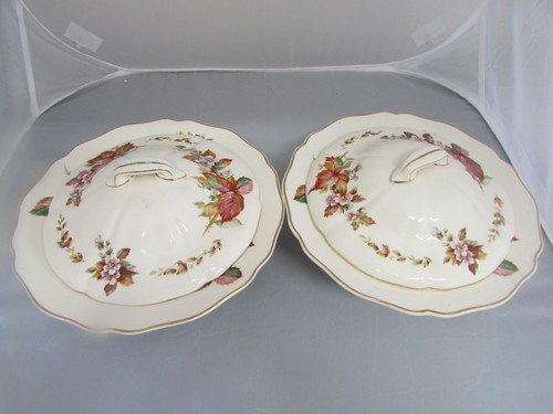 Pair royal doulton wilton - pair,