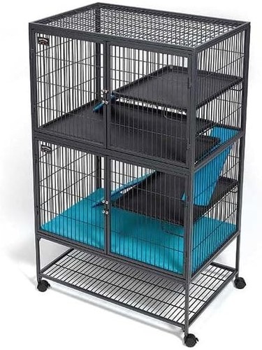 Midwest homes for pets ferret - midwest,