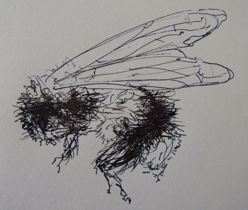 Original hand drawn - , pen