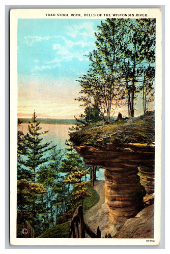 Wisconsin dells toad stool - wisconsin,