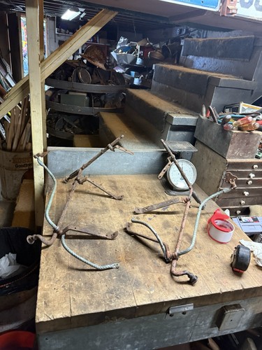 Doctor horse buggy wagon - horse,