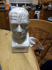 Phrenology Head By L N Fowler
