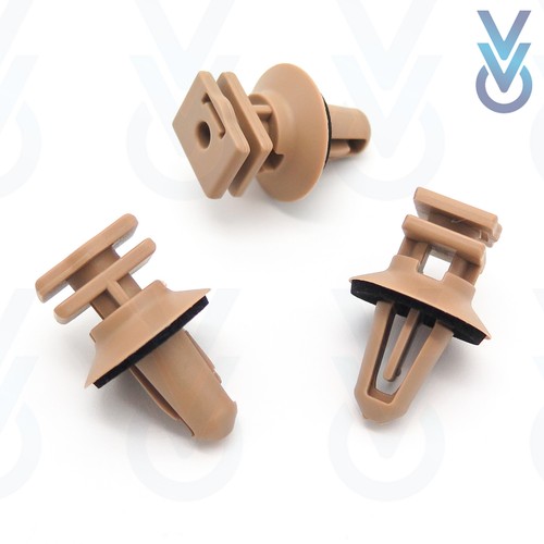 10x vvo interior - 10x,