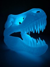 Dinosaur Skull Glow In A