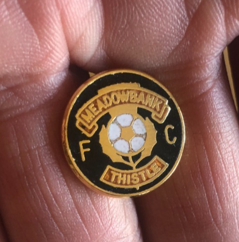 Rare old meadowbank thistle - rare,