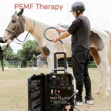 Pemf Magnetic Therapy Device