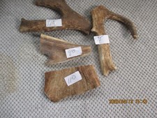 FALLOW DEER ANTLER CHEWS