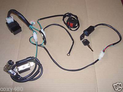 New wiring loom harness - wiring,