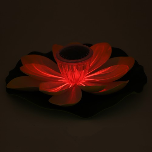 Solar pond pool - pond, lights