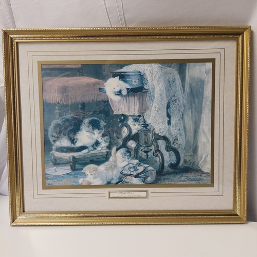Henriette ronner knip - henriette, ronner-knip