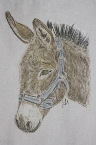 Donkey and horse bags - and,
