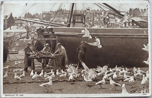 Ives cornwall postcard - ives,
