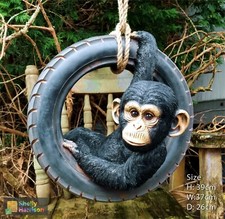 monkey on his tyre, adorable