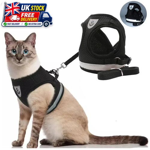 Cat harness lead set - harness,