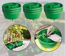 Green plant halos - halos, bag