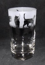 New 'CAT' Hand Etched Highball Glass with Gift Box - Perfect Gift!
