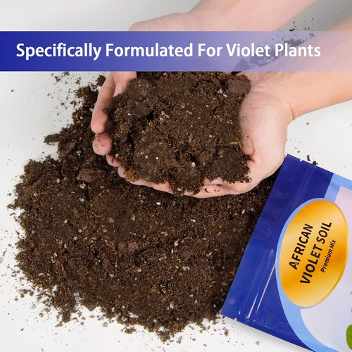 African violet potting - potting, soil