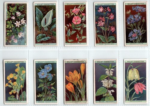 Wills wild flowers - a, 1923