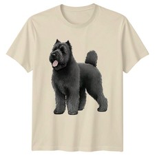 Bouvier Des Flandres Dog