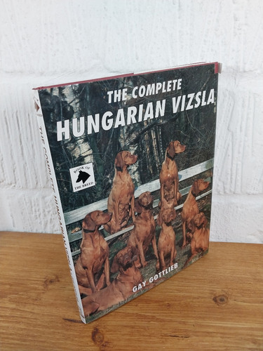 Complete hungarian vizsla - complete,