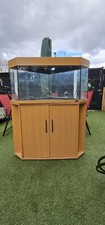 Juwel Trigon 190 Corner Fish